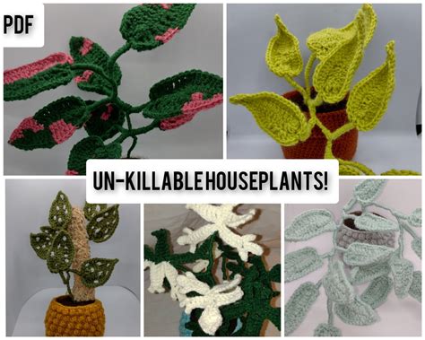 Houseplant Crochet Patterns Philodendron Pothos Etsy