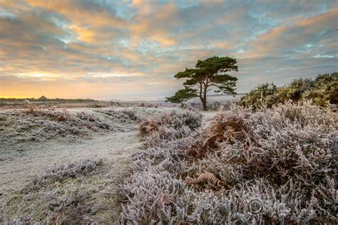 Frosty Winter Wonderland Bratley View New Forest Flickr