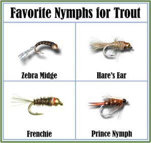 The Best Nymph Flies For Trout Proven Patterns Guide Recommended