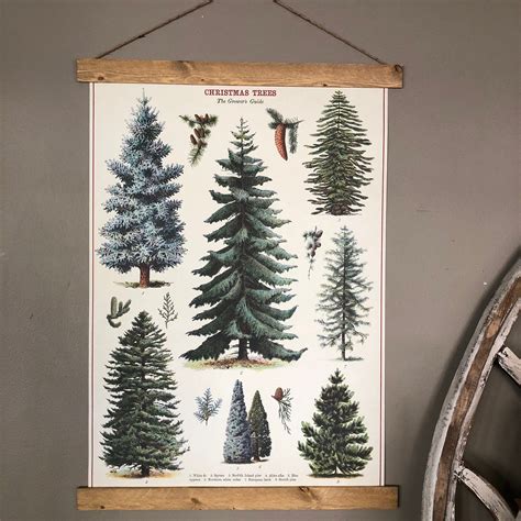 Christmas Trees Print Christmas Wall Art Trees Print Vintage Trees