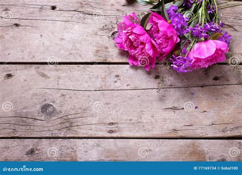 As Peônias Cor de rosa Da Mola Florescem No Fundo De Madeira