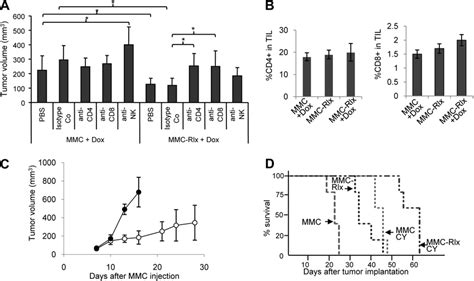 Tumor Growth In Mice Depleted For Cd4 Cd8 Or Nk Cells Neu Tg Mice