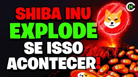 Shiba Inu Vai Subir Muito Se Isso Acontecer Shiba Inu Hoje Not Cias