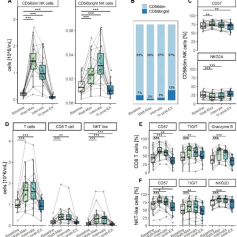 T And Nk Cell Response During Acute Exercise The Nk Cell Response To