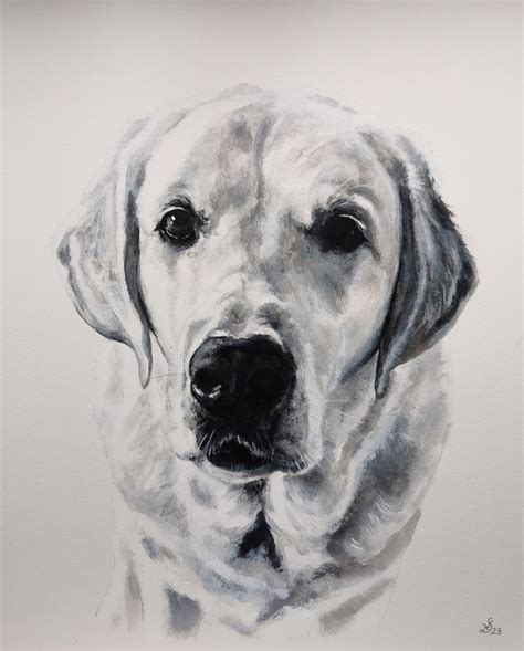 Bild Hund Hundekopf Labrador Aquarell Von Heike Deininger Kunstnet