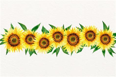 Free Vector | Watercolor sunflower border