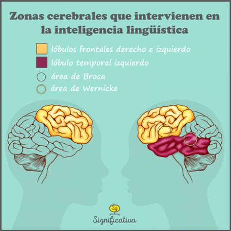 Inteligencia Ling Stica Definici N Funci N Reas Del Cerebro