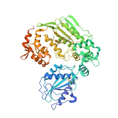 RCSB PDB 3LMM Crystal Structure Of The DIP2311 Protein From