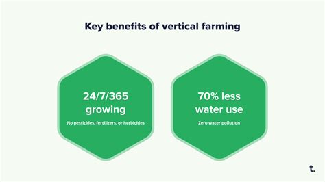 Vertical Farming Technologies: Bringing About a Revolution to High-Rise ...