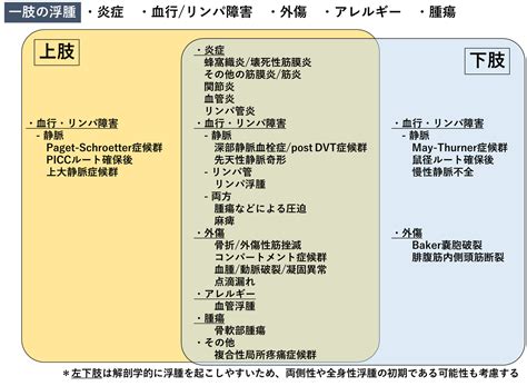 浮腫│不識庵 万年研修医のブログ