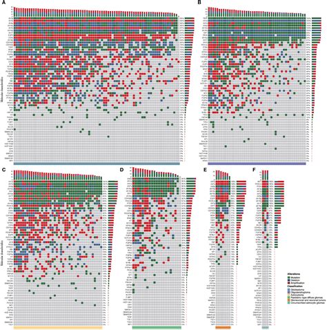 Frontiers Clinical Updates On Gliomas And Implications Of The Th