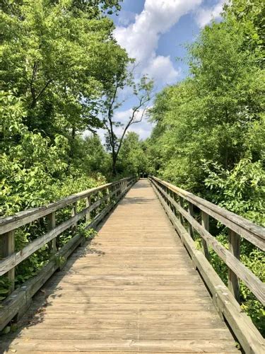 2023 Best Wheelchair Friendly Trails In East Goshen Township Park Alltrails