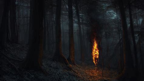 Burning Forest Wallpapers Wallpaper Cave