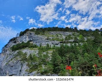 Aare Gorge German Aareschlucht Section River Stock Photo