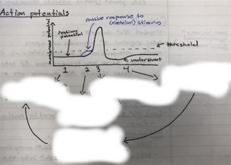 Bio Diversity Exam 3 Flashcards Quizlet