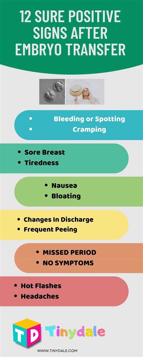 12 Sure Positive Signs After Embryo Transfer