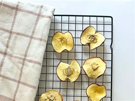 16 Perfectly Delicious Dehydrator Snacks You Have To Try