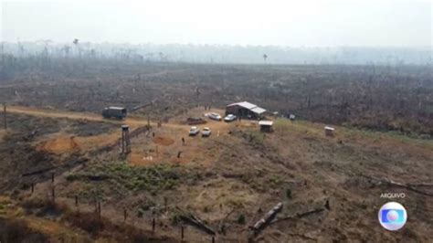 Brasil Perde Milh Es De Hectares De Vegeta O Nativa Em Anos