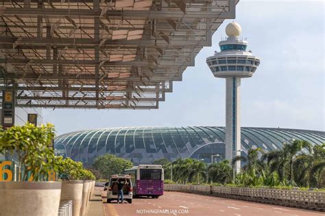 What To Do At Changi Airport Singapore And 8 Best Tips For Your Visit