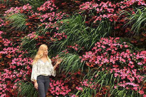 Non-Rhythmic SunPatiens and Lemon Grass Vertical Garden - LiveWall ...