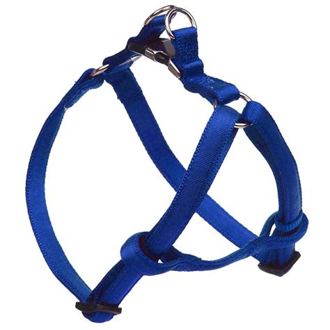 Dog Harness & Leash – Mosi International