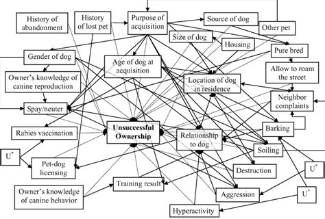 Directed Acyclic Graphs Of Causal Relationships Between The Explanatory