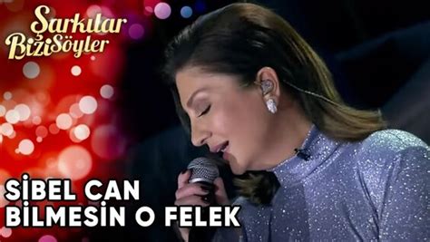 Damla Can Bikini Video Yandex Te Bulundu