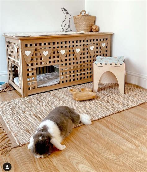 Aesthetic Bunny Setup In 2021 Bunny Room Pet Bunny Rabbits Bunny House