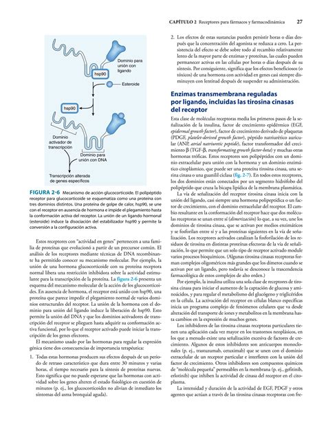 Farmacologia Basica Y Clinica Katzung Bertram G Editor 1pdf Pdf