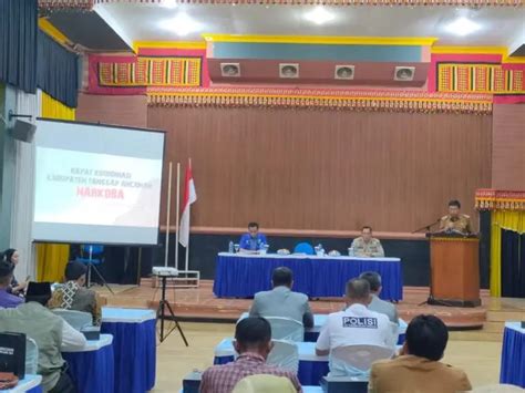 Bnnk Tanggamus Gelar Rakor Pengembangan Dan Pembinaan Kota Kabupaten