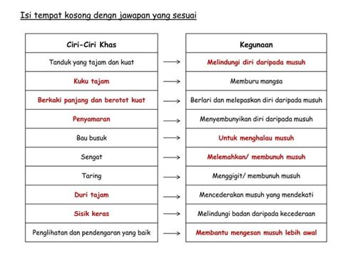 Haiwan Melindungi Diri Ppt