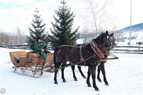 Traditional Horse Drawn Sleigh Ride - Experience Magical Winter in Poland