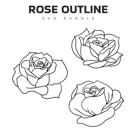 Rose Outline SVG Designs | Master Bundles