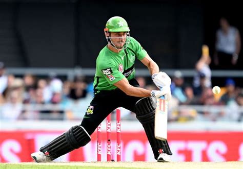 Big Bash 2023 24 Team Guide Melbourne Stars The Cricketer