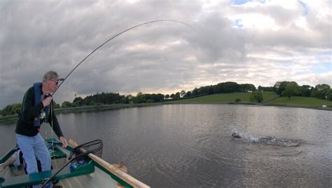 Mount Dalton Trout Moving Well To Wet Flies Fishing In Ireland