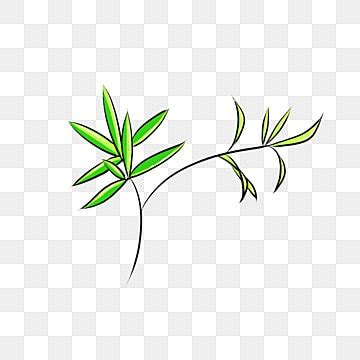 Fresh Plant Leaves Green Plants PNG Vector PSD And Clipart With