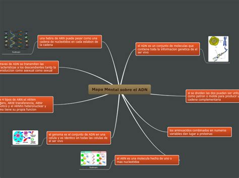 Arriba 43 Imagen Mapa Mental Sobre El Adn Abzlocal Mx