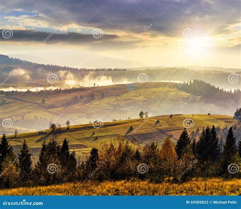 Forest Over Foggy Valley In Autumn Mountains At Sunset Stock Photo