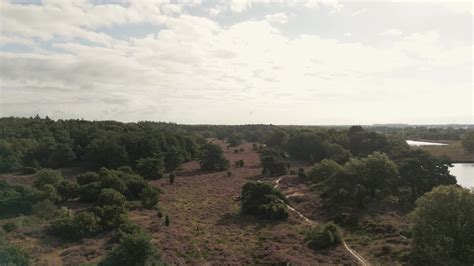 Aerial view of farm land with fields and trees 11868774 Stock Video at ...