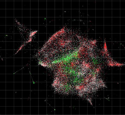 A new ‘DNA microscope’ peers deep inside living cells | STAT