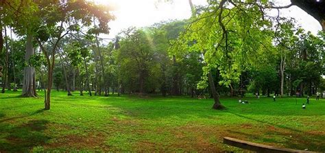 Parque Regional Metropolitano ⭐ Colima Colima Zonaturistica