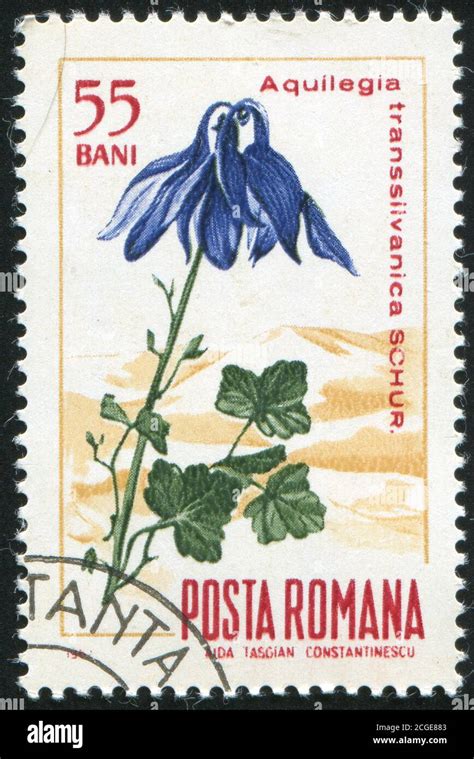 ROMANIA CIRCA 1967 Stamp Printed By Romania Show Columbine Circa