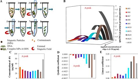 Materials Free Full Text Influence Of Magnetic Microparticles