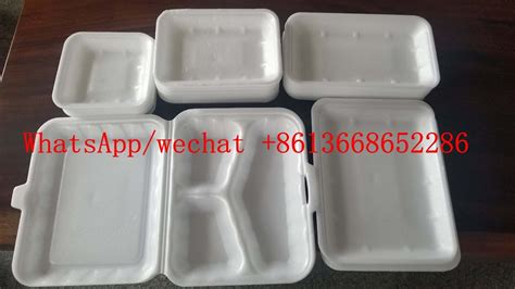 Hot Selling Disposable Plastic Fast Food Container And Ceiling Making