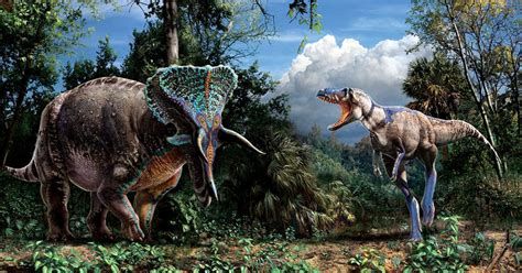 Don’t Miss The Biggest Amazing Discovery In North Carolina This Year ...