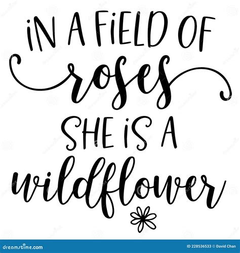 In A Field Of Roses She Is A Wildflower Inspirational Quotes Stock