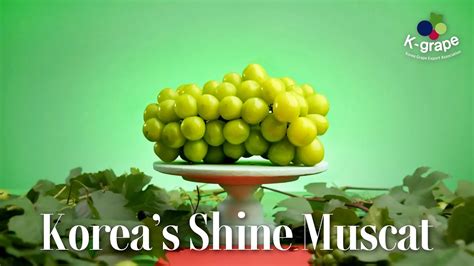 The King Of Grapes Koreas Shine Muscat 30s Youtube