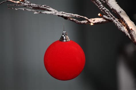 Hintergrundbilder Weihnachten Rot Schnee Makro Baum Natur