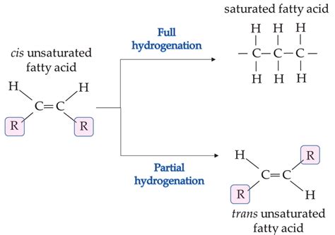 Trans Fatty Acid Diagram
