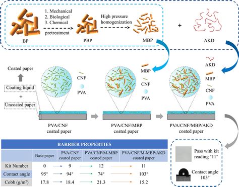 The Preparation Process And Properties Of Pva Cnf M Mbp Akd Coated